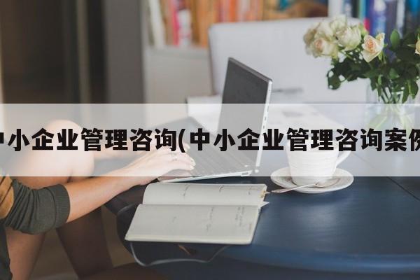 中小企业管理咨询(中小企业管理咨询案例)